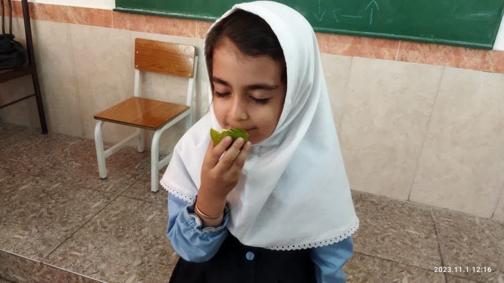 تصویر مقاله