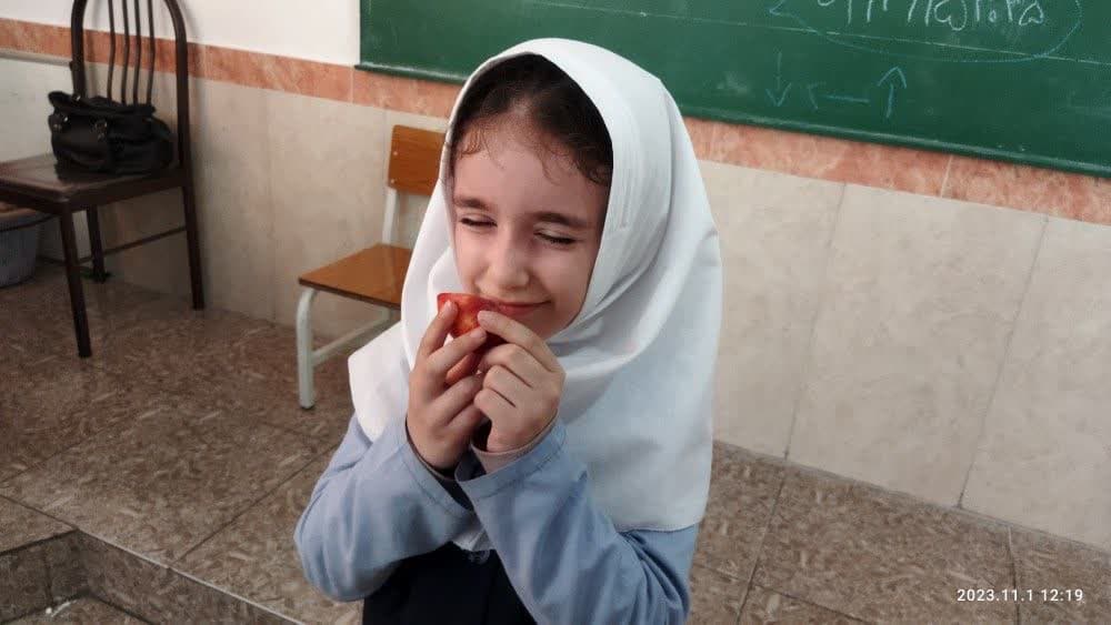 تصویر مقاله