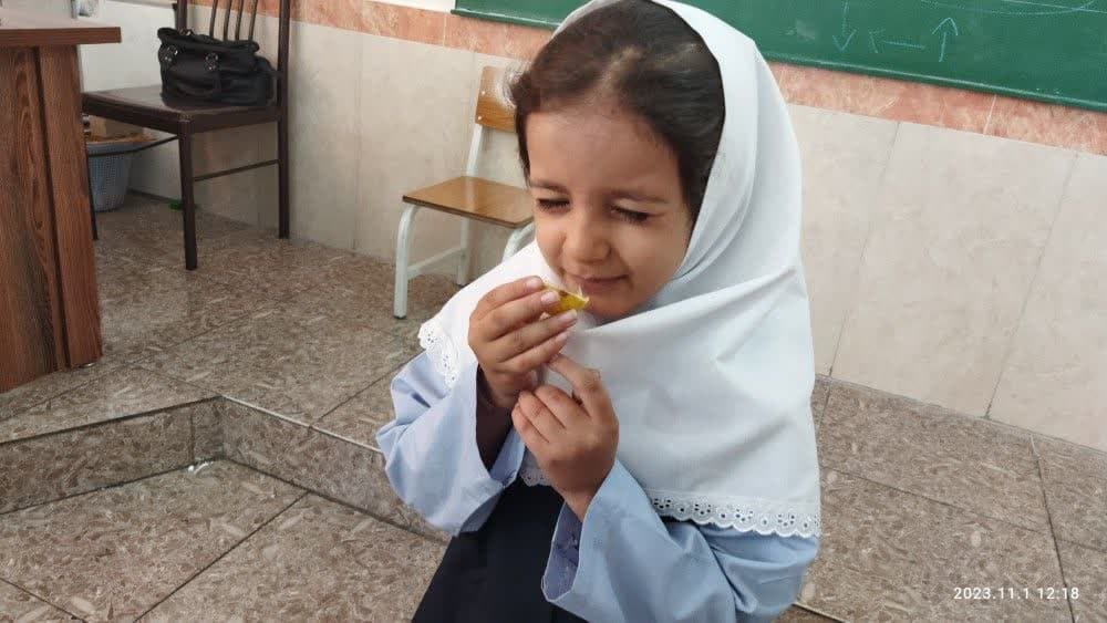 تصویر مقاله