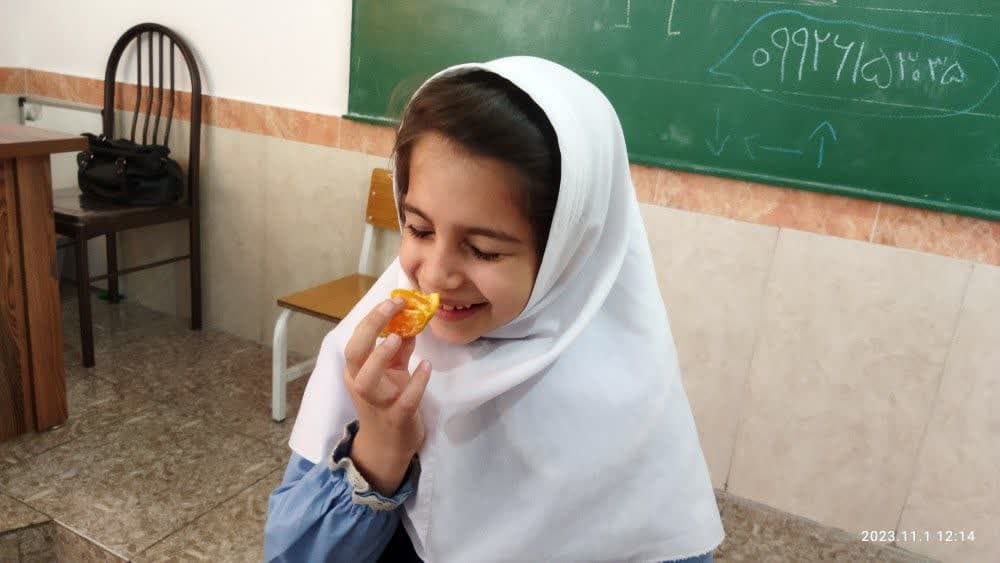 تصویر مقاله